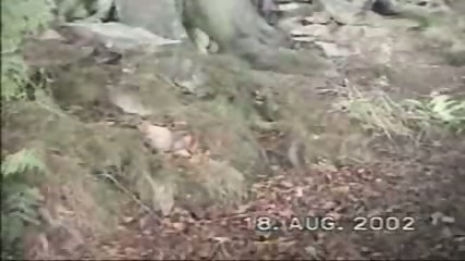 My orgasm in the woods!